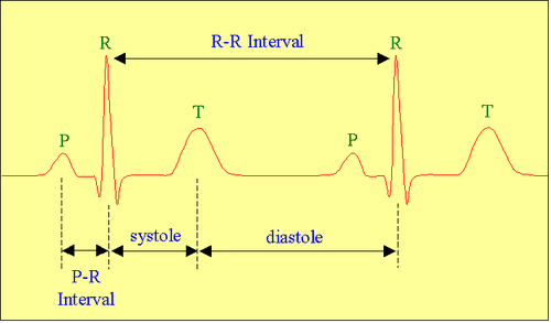 соотношение интервалов ЭКГ с фазами сердечного цикла