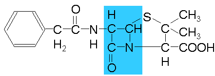 структура бензилпенициллина