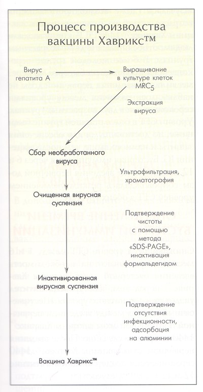 процесс производства акцины Хаврикс