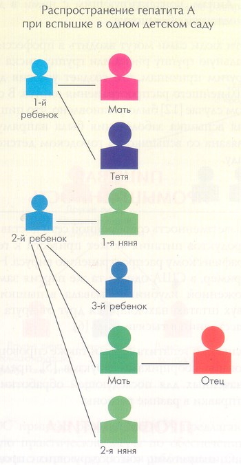 схема распространения гепатита A при вспышке в одном детском саду