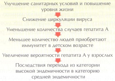 заболеваемость гепатитом A - система с отрицательной обратной связью