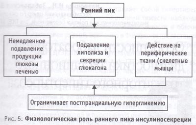 Физиологическая роль раннего пика инсулиносекреции