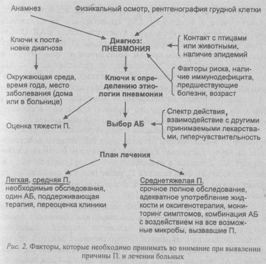 факторы, которые надо учитывать при выявлении причины пневмонии и лечении