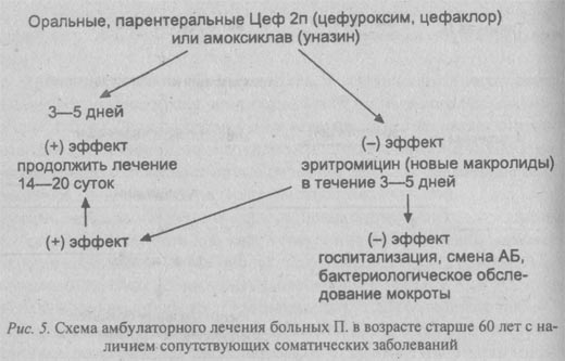 схема амбулаторного лечения больных пневмонией старше 60 лет