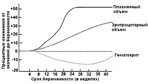 динамика эритроцитов, гематокрита и объема плазмы у беременных