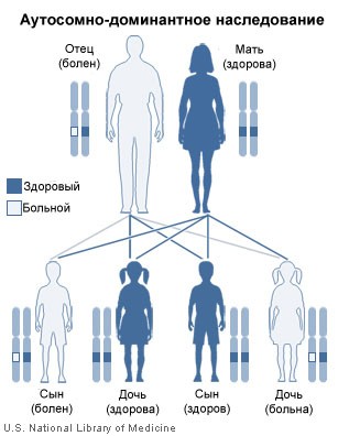 аутосомно-доминантное наследование