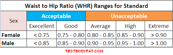 Показатели отношения окружности талии к окружности бедер (ОТ/ОБ), или WHR (waist-to-hip ratio), от идеального до плохого у мужчин (male) и женщин (female)