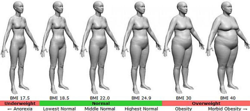 ИМТ (BMI, body mass index): от анорексии до ожирения