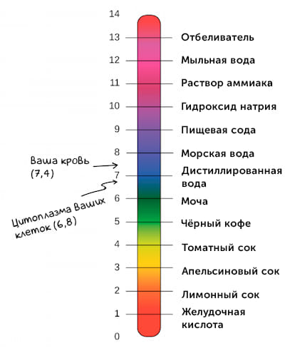 уровень pH в различных средах