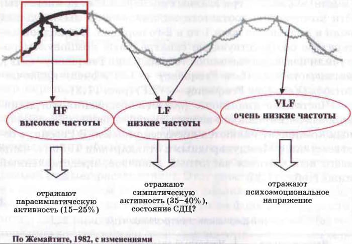 компоненты вариабельности сердечного ритма: HF (High Frequency), LF (Low Frequency), VLF (Very Low Frequency)