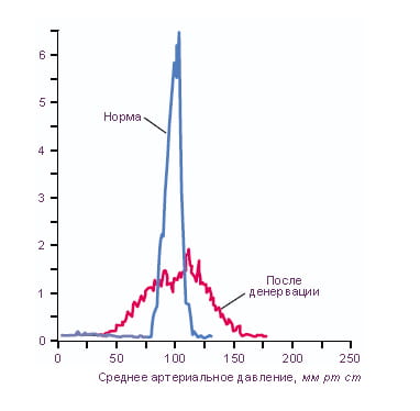 изменение уровня артериального давления после перерезки нервов от барорецепторов у собаки
