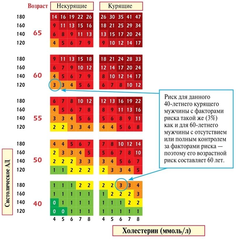 как считать 10-летний сердечно-сосудистый возрастного риска по шкале SCORE для мужчин